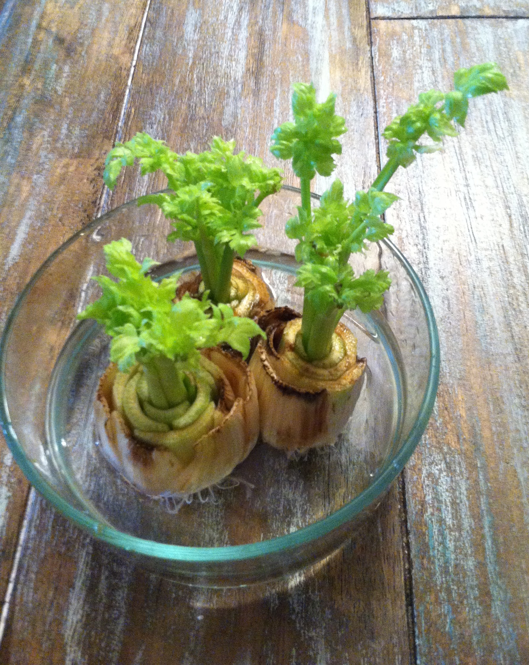 How to Revive and Regenerate Your Celery With One Easy Technique