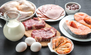 High Protein Diet Benefits