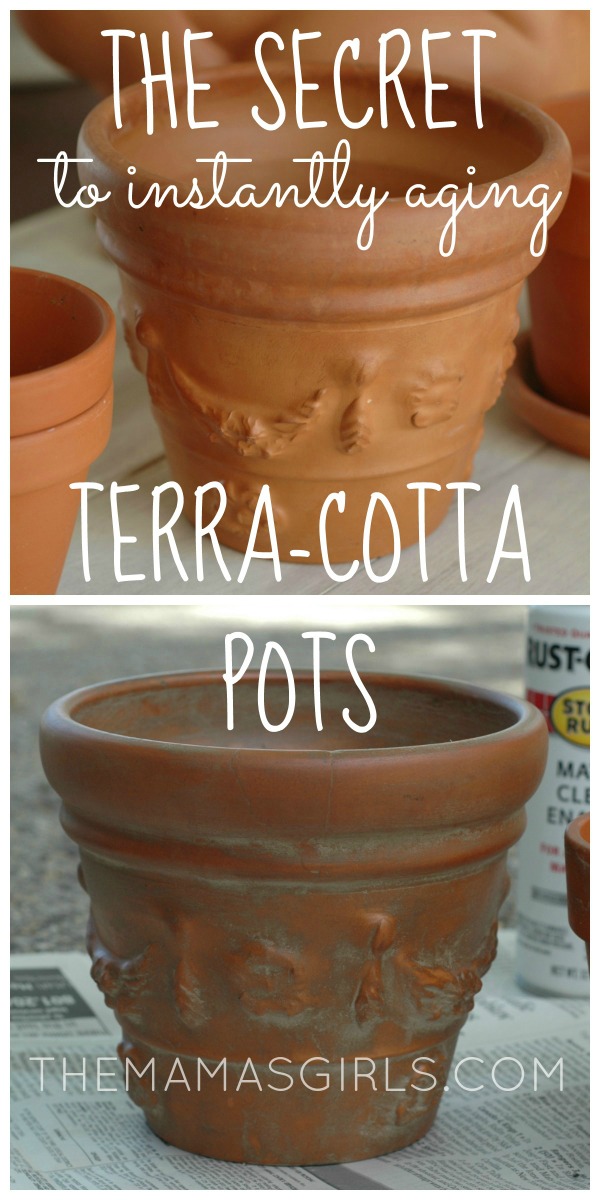 The Secret to Instantly Aging a Terra-Cotta Pot