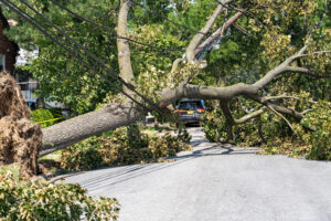 Power Out: Refrigerator Food Safety Tips